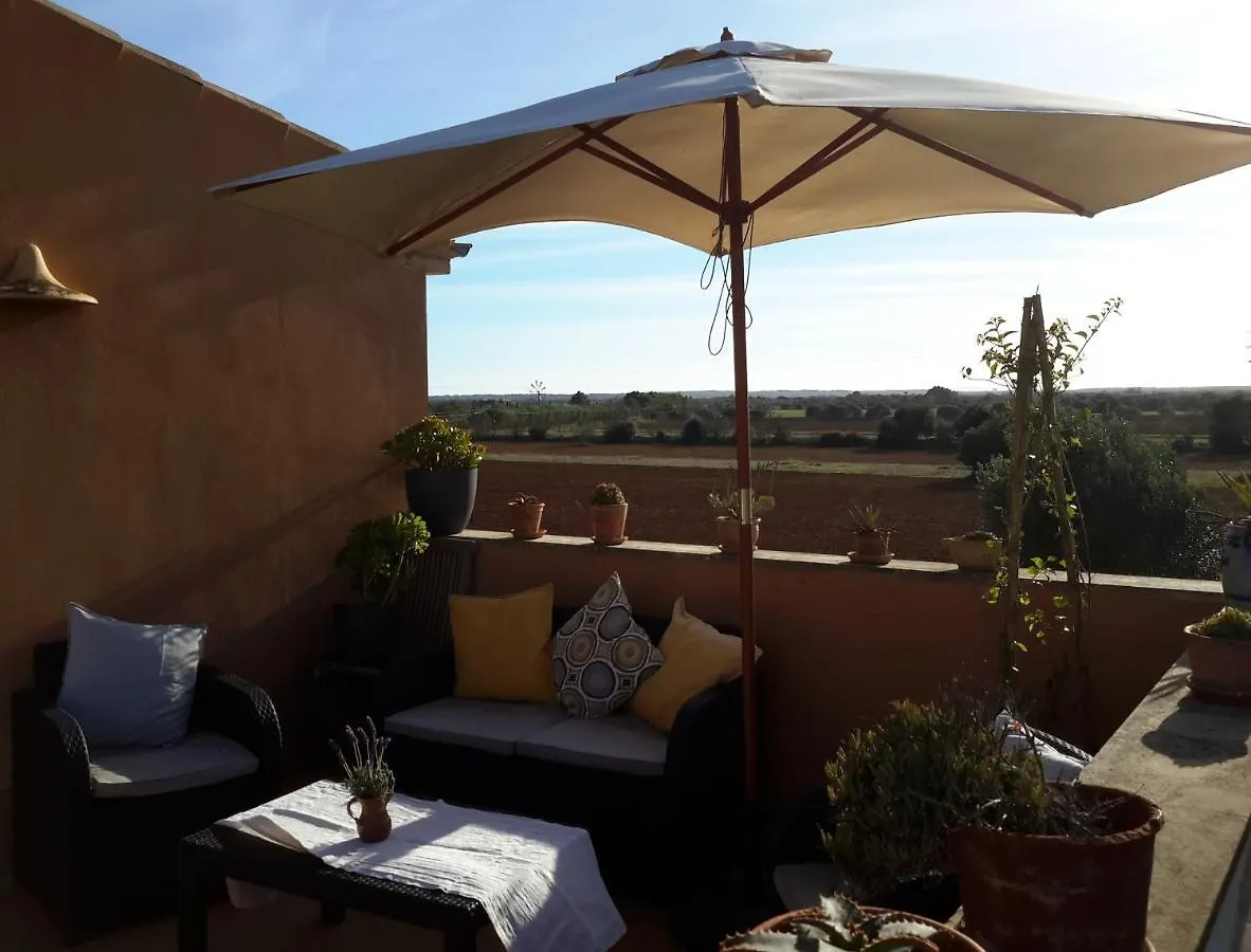 Finca Alqueria Fosca カンポス