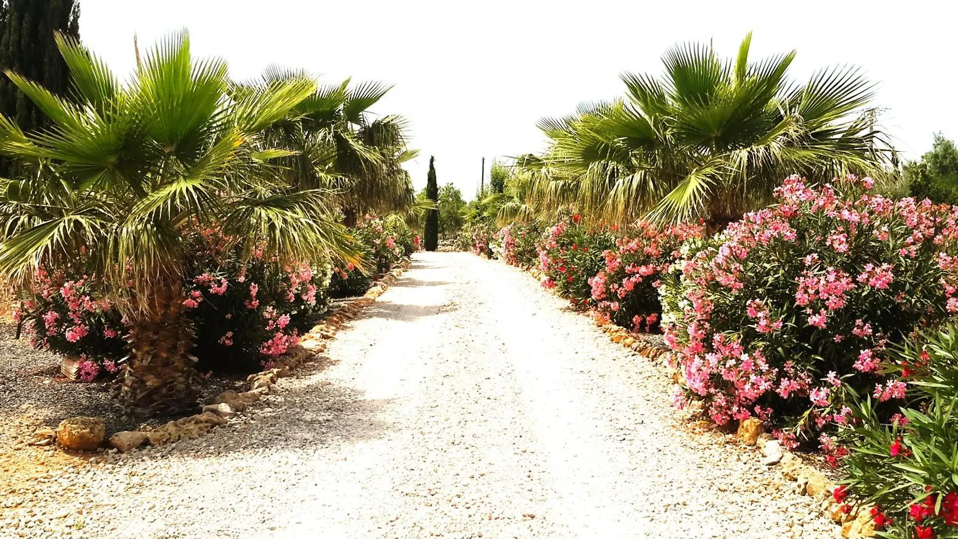 Finca Alqueria Fosca カンポス 別荘