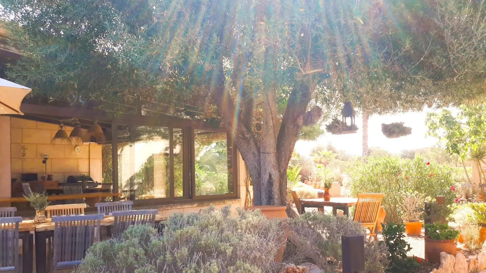 Finca Alqueria Fosca カンポス スペイン