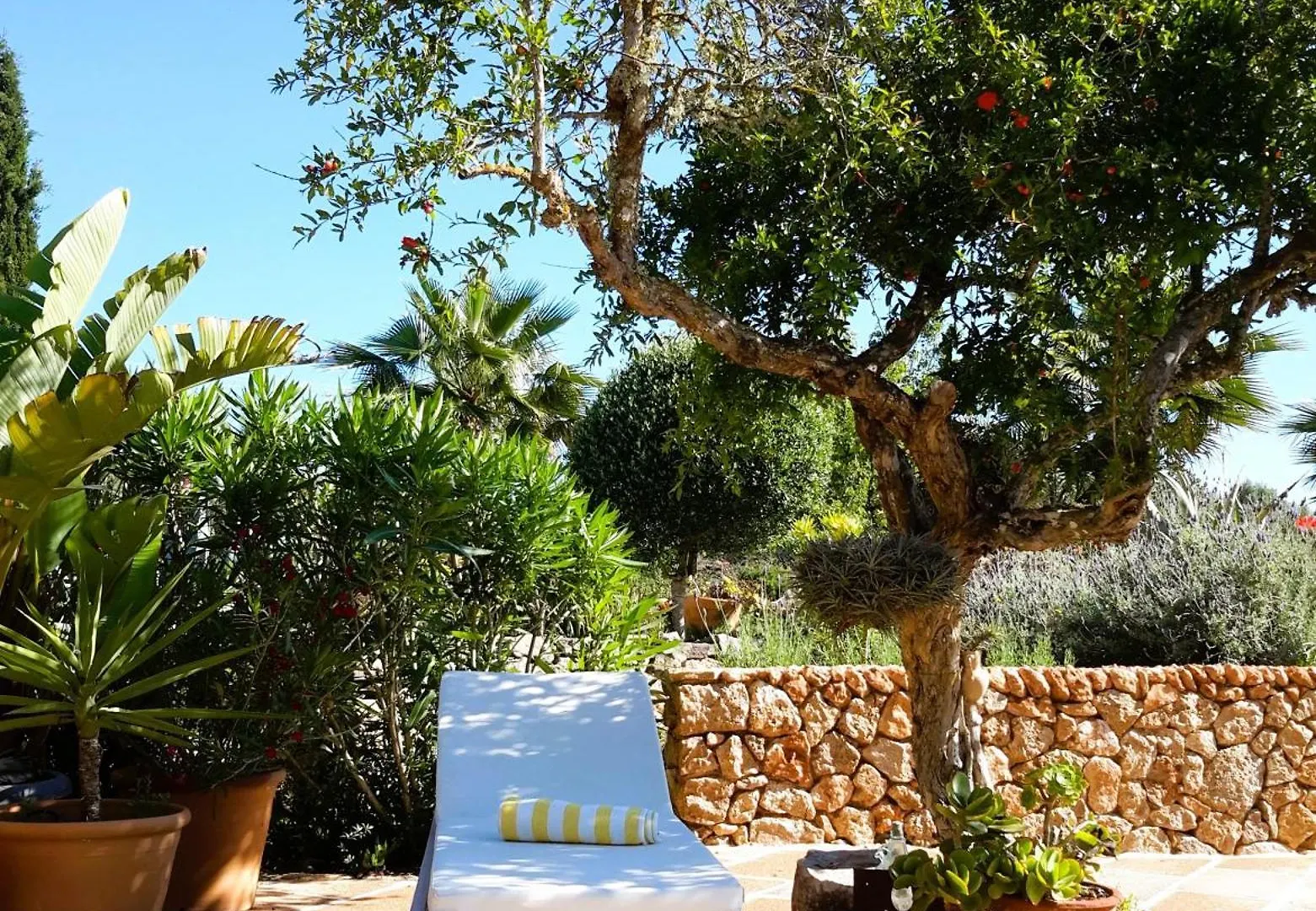 Finca Alqueria Fosca カンポス