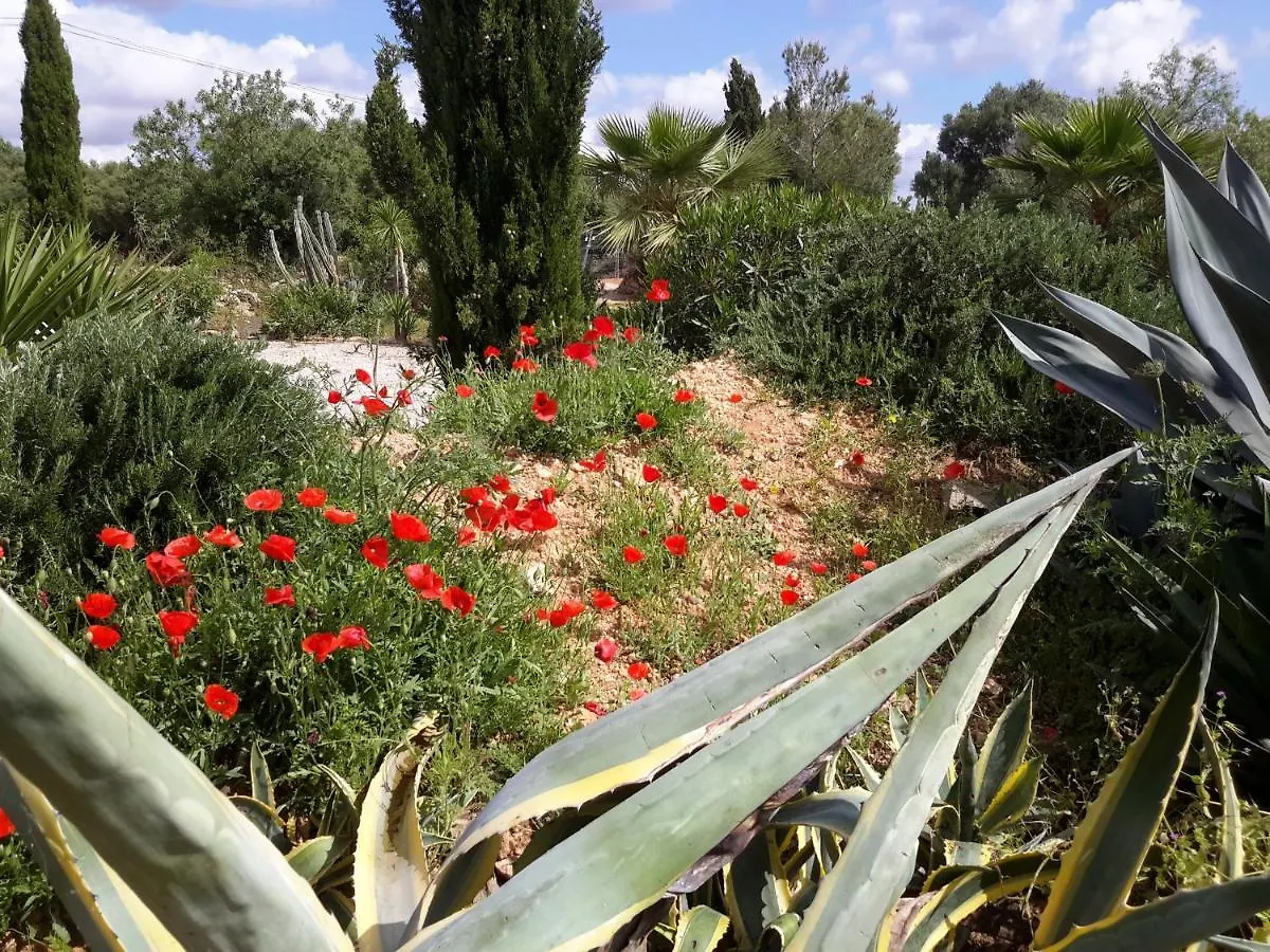 Finca Alqueria Fosca Campos  Сasa de vacaciones Campos (Mallorca)