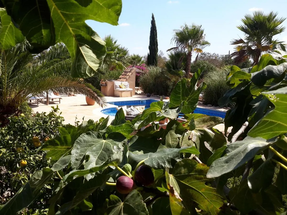 Finca Alqueria Fosca Campos  Campos (Mallorca)