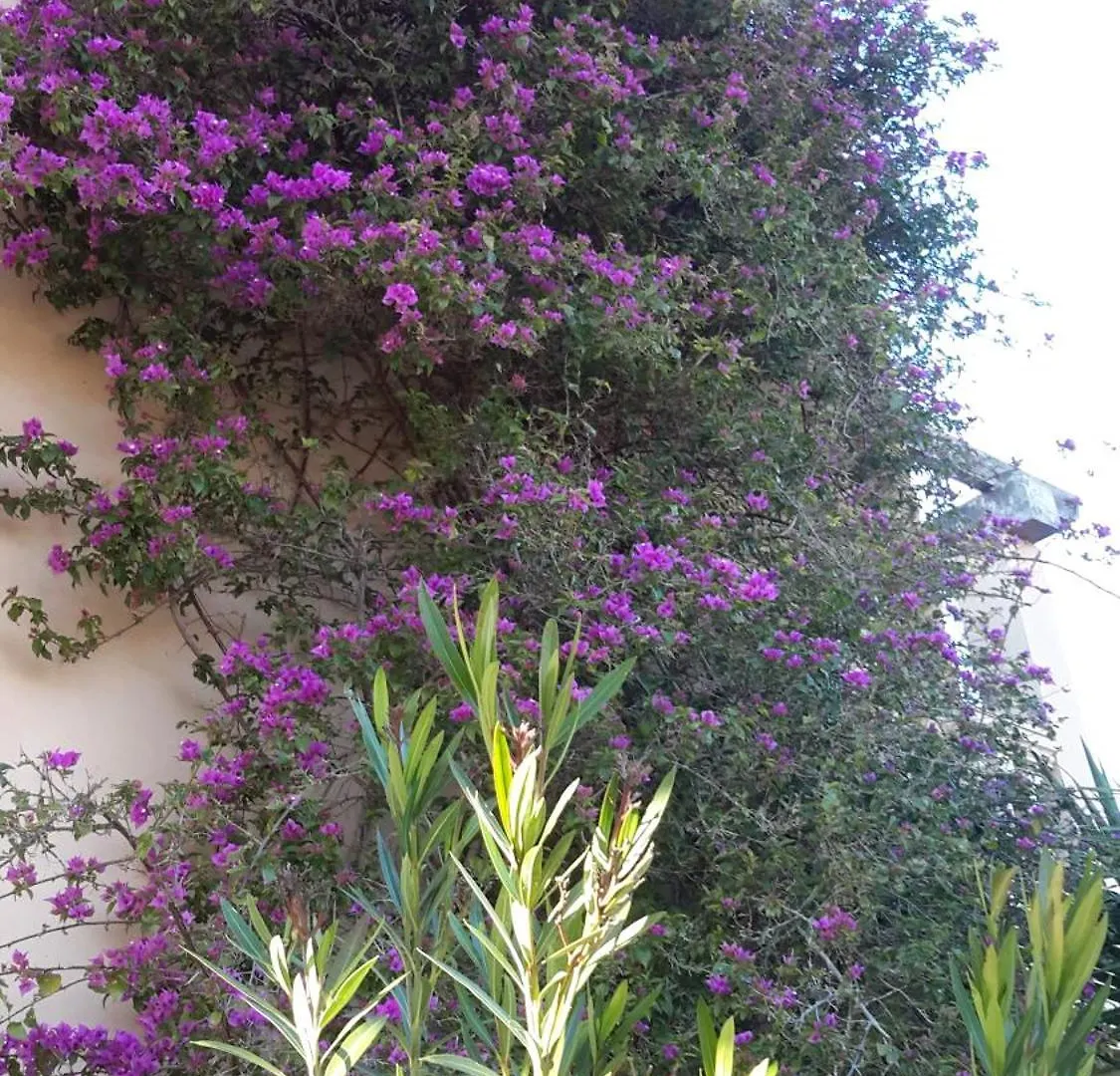 Finca Alqueria Fosca Campos  Сasa de vacaciones