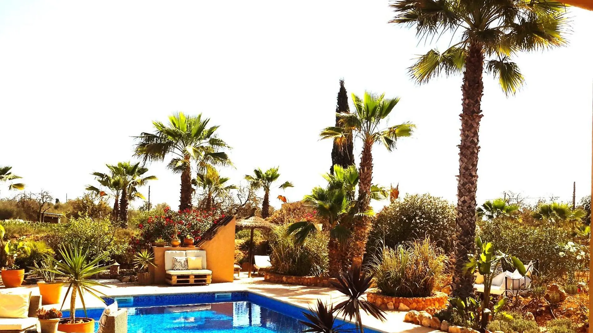 Finca Alqueria Fosca Campos