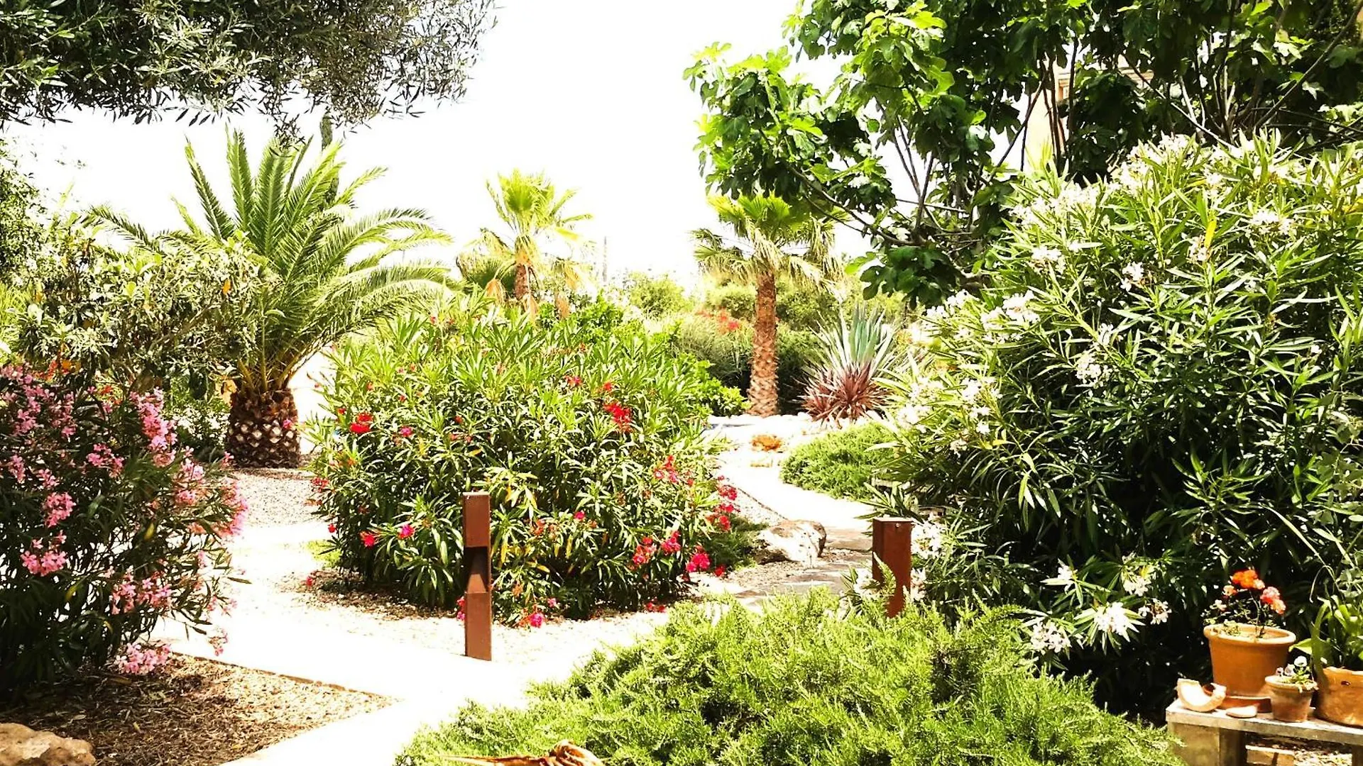 Finca Alqueria Fosca Campos  Campos (Mallorca)